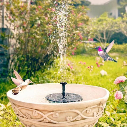 Solar-Powered Water Fountain.